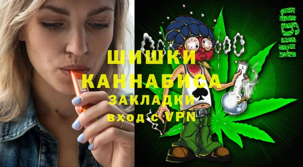 ешки Алексин