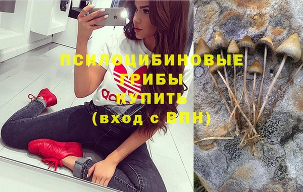 первитин Зерноград
